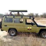 Kenya Uganda Rwanda 12-Day Safari