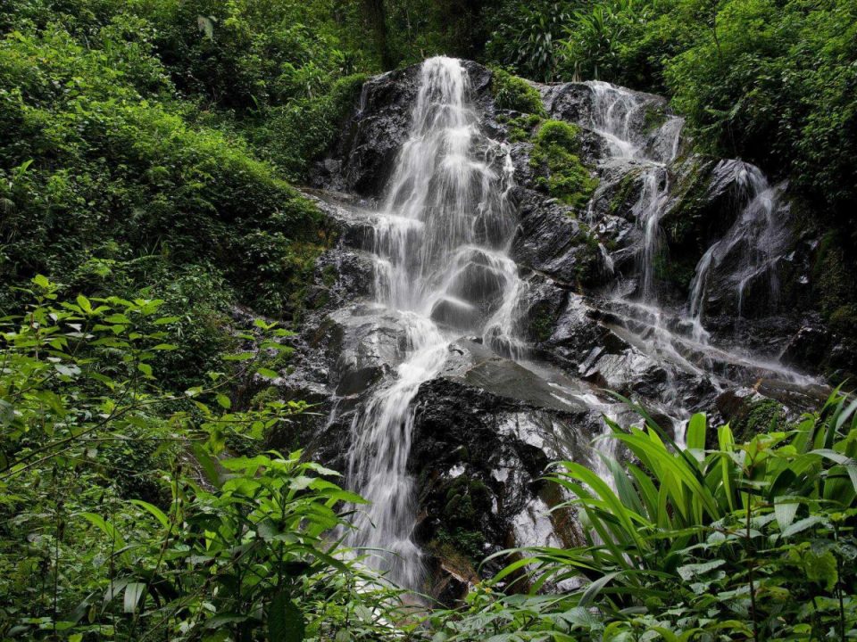 Waterfall Hikes in Nyungwe Forest