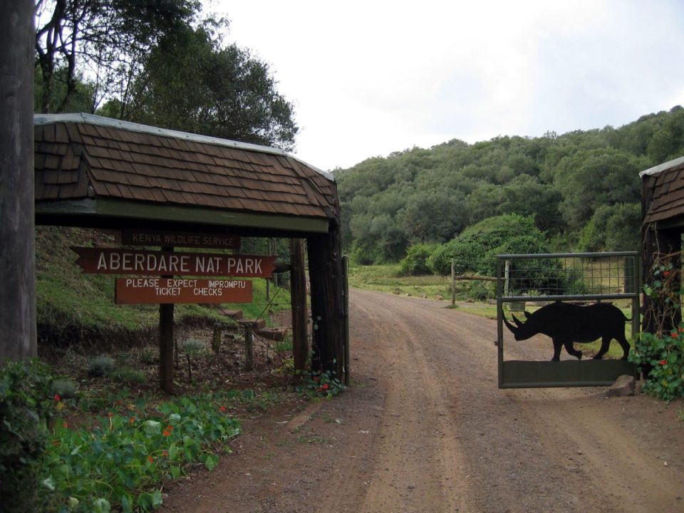 What Is a Fly-In Safari, and Is It Worth It?