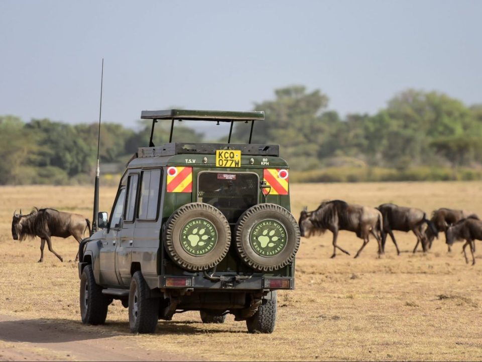 Tanzania Gay Travel Safari