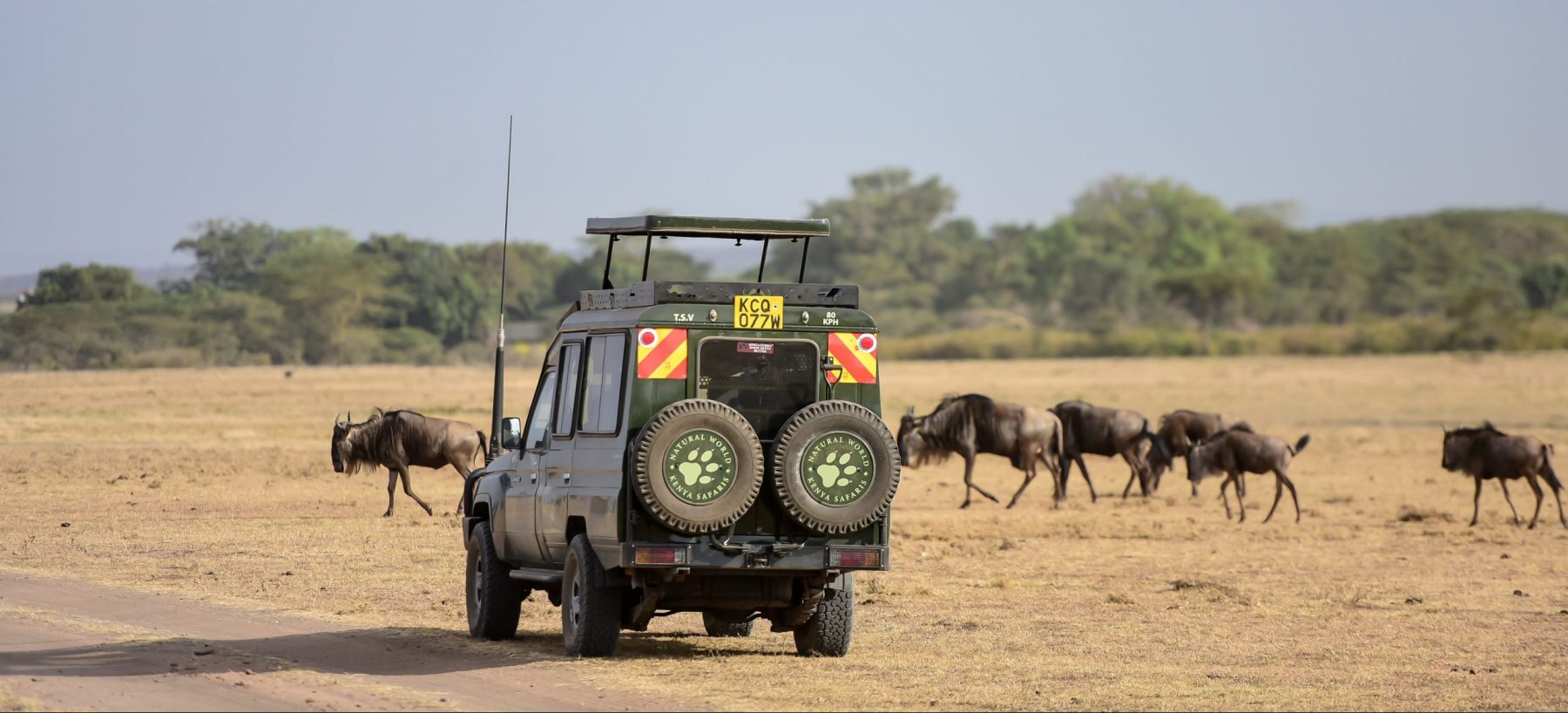 How Is Ngorongoro Crater Different from Other Tanzania Parks