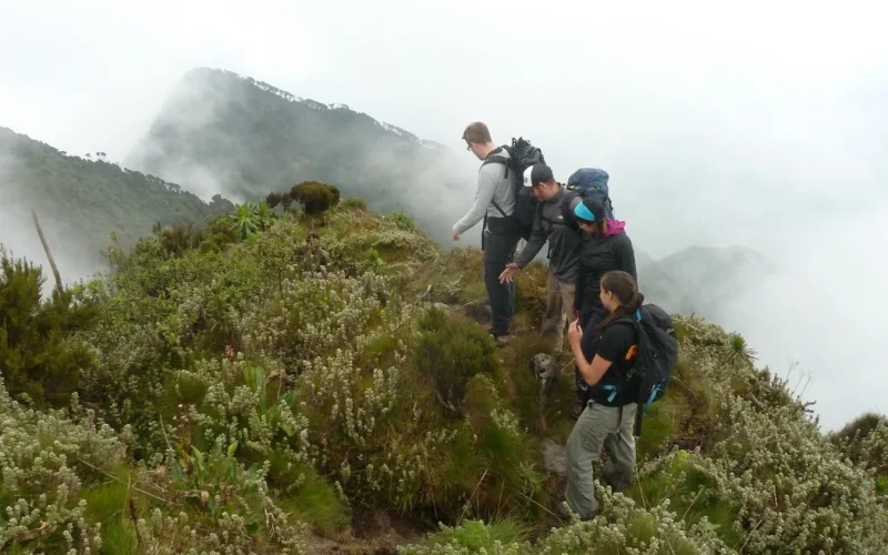 Hiking Mount Gahinga Hiking Mount Gahinga