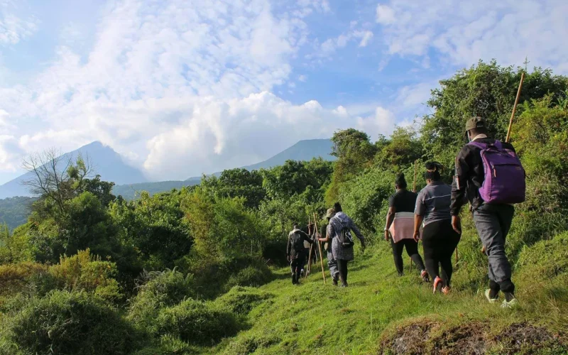 8-Day Rwanda Uganda Safari 8-Day Rwanda Uganda Safari