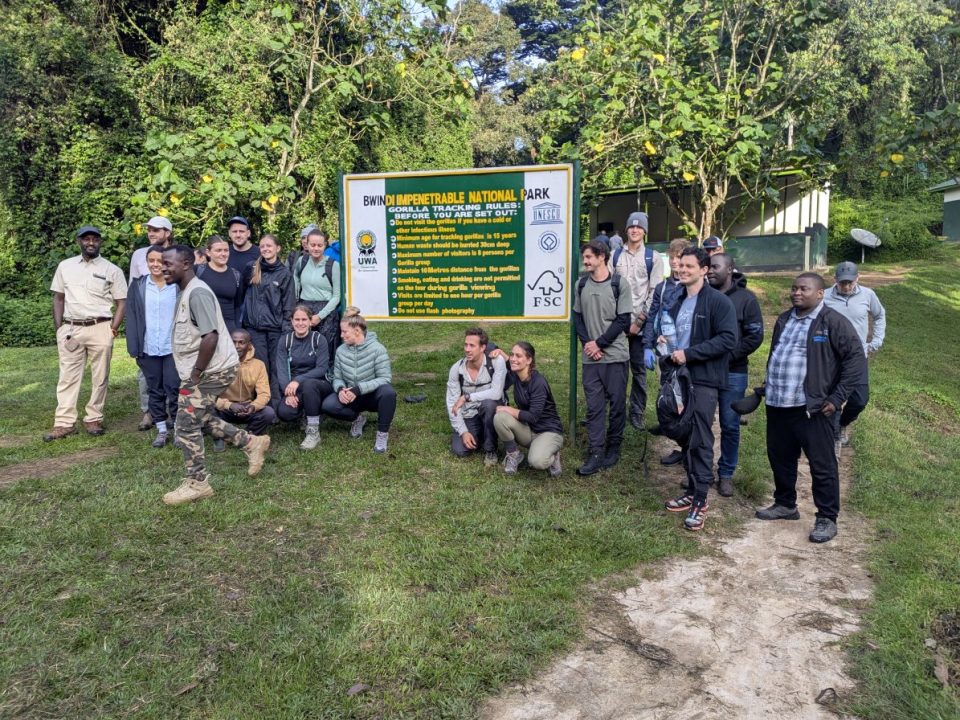 4 Days Gorilla Trekking Safari