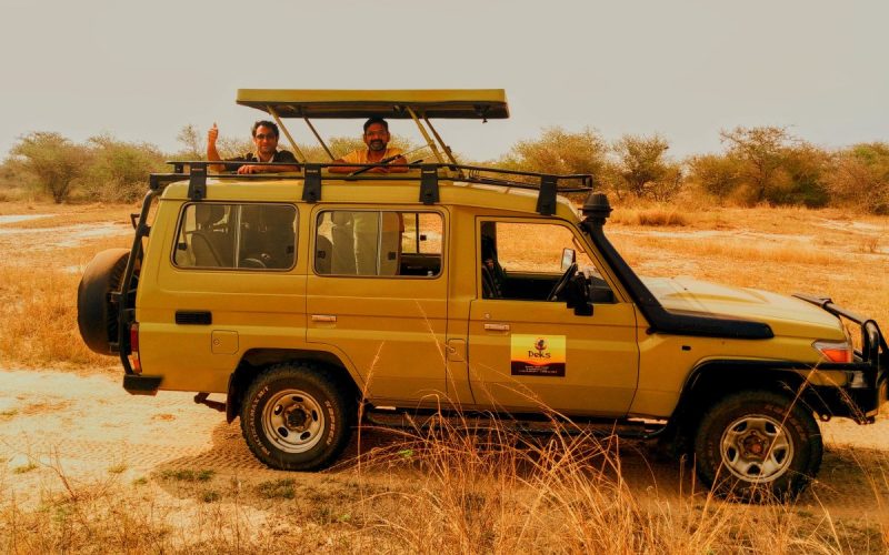 Kenya Safari Experiences Kenya Safari Experiences