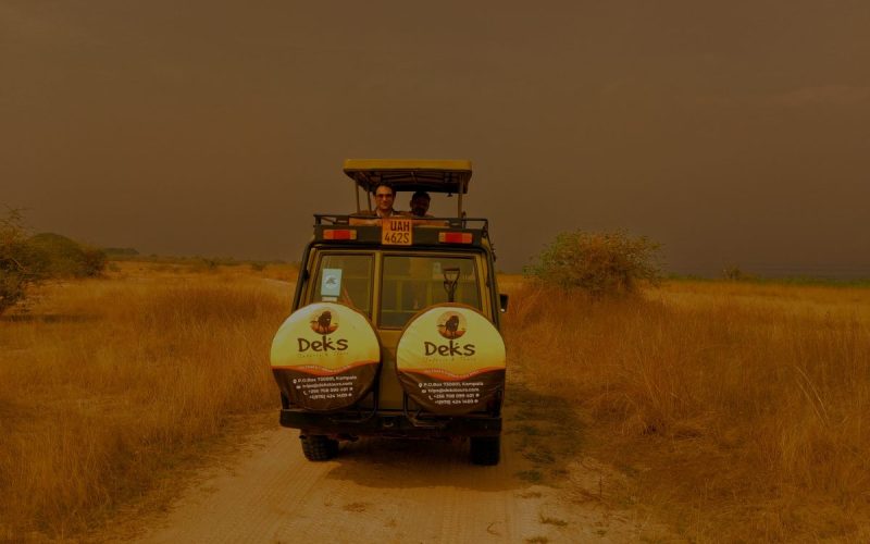 Kenya Safari Experiences Kenya Safari Experiences