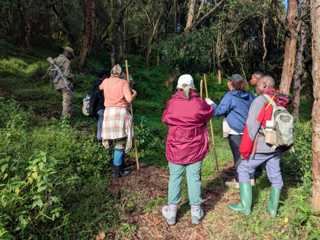 The Role of Porters in Your Gorilla tracking Safari