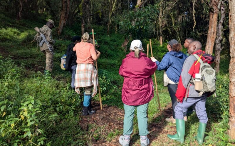 The Role of Porters in Your Gorilla tracking Safari