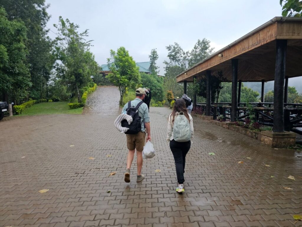 Rwanda Gorilla Safari Packages