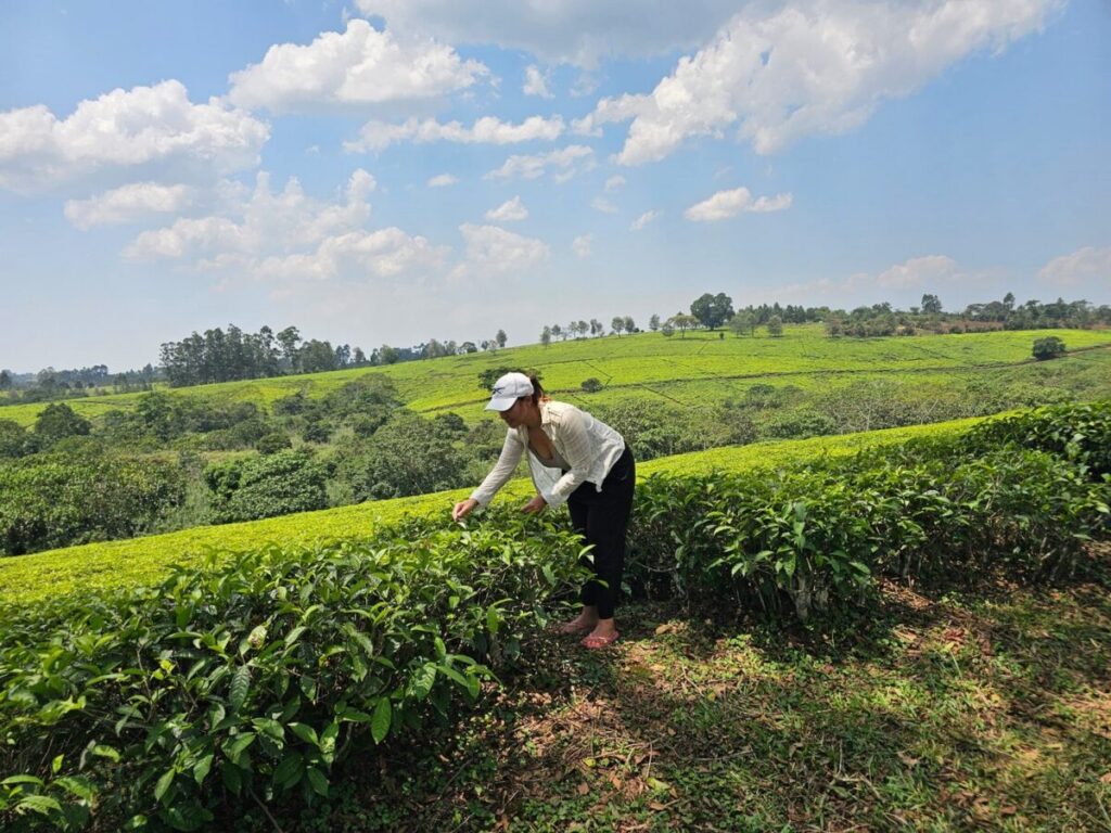 Botswana Uganda Safari