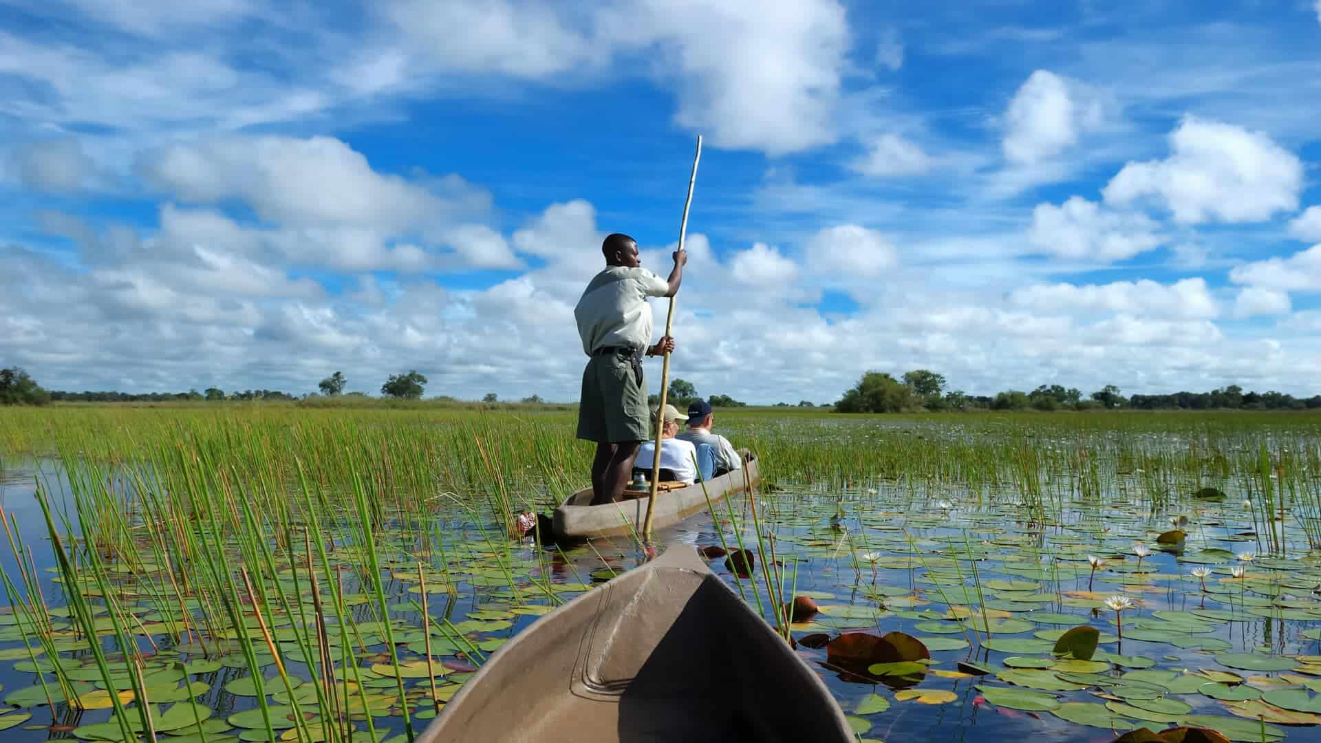 Africa Safaris