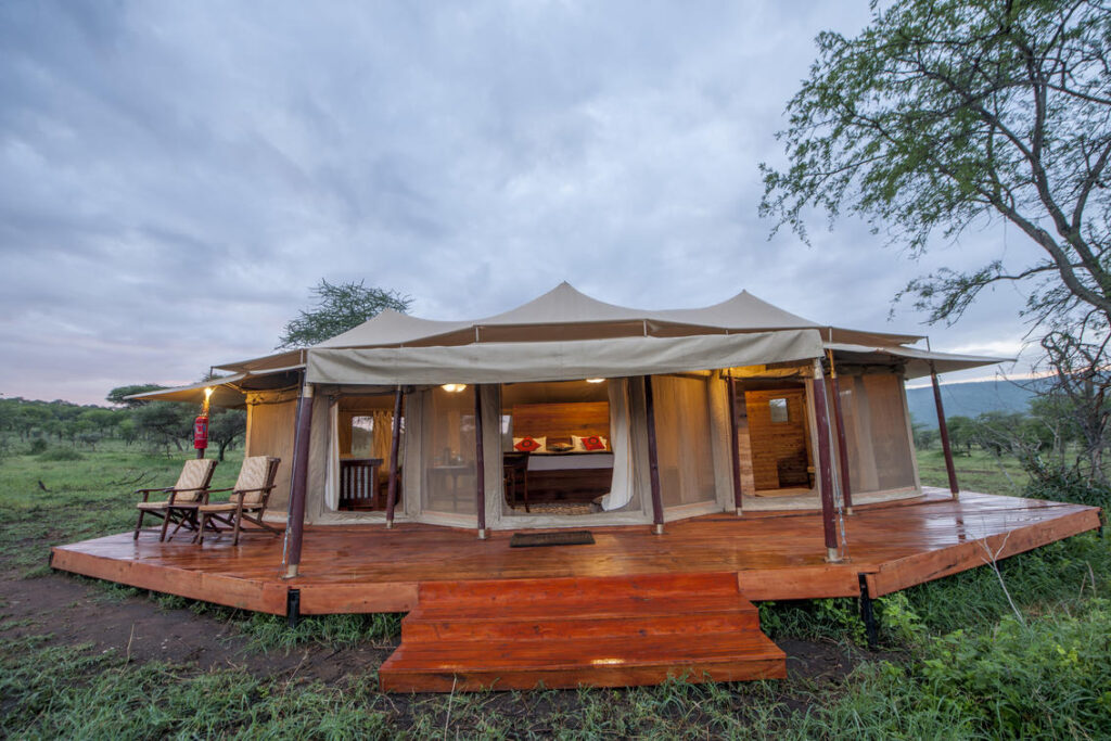 Tanzania Luxury Safari Lodges