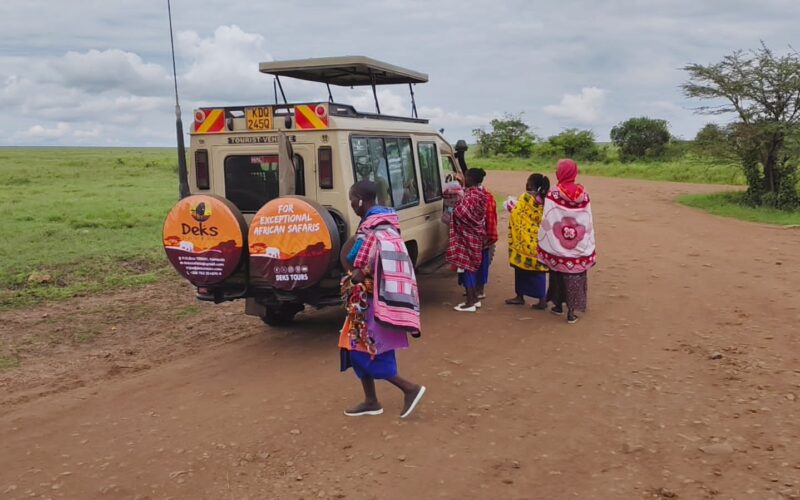 Africa Wildlife Safaris