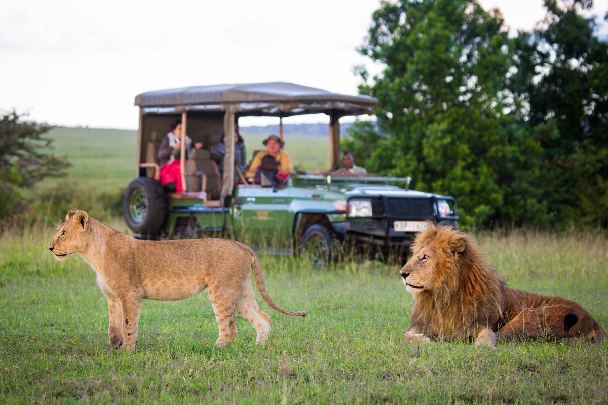 What Is the Best Time for a Photographic Safari in Uganda and Kenya?