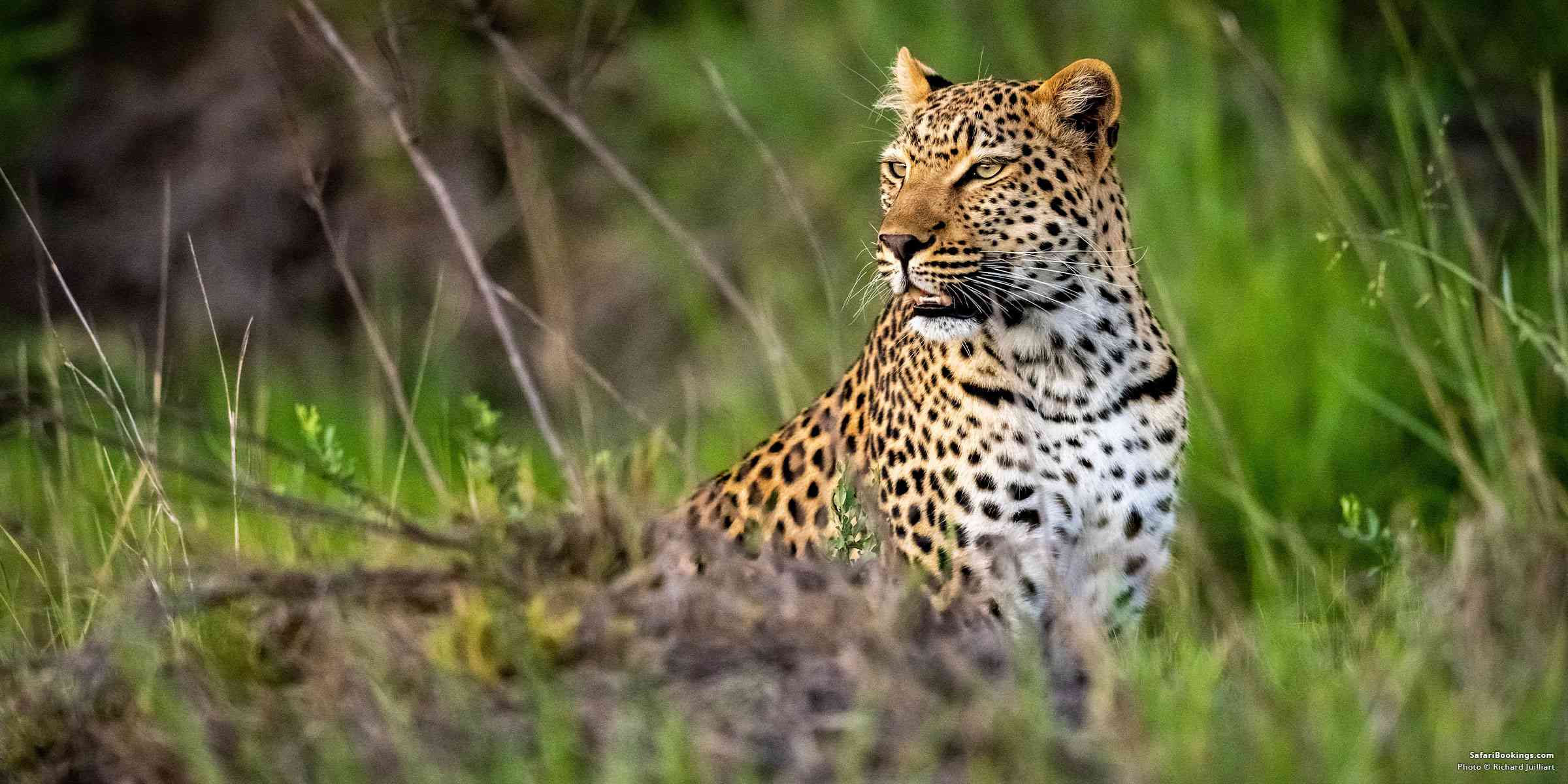 Serengeti National Park
