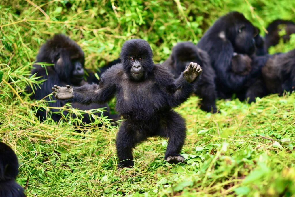 Uganda Strengthens Its Global Tourism Voice