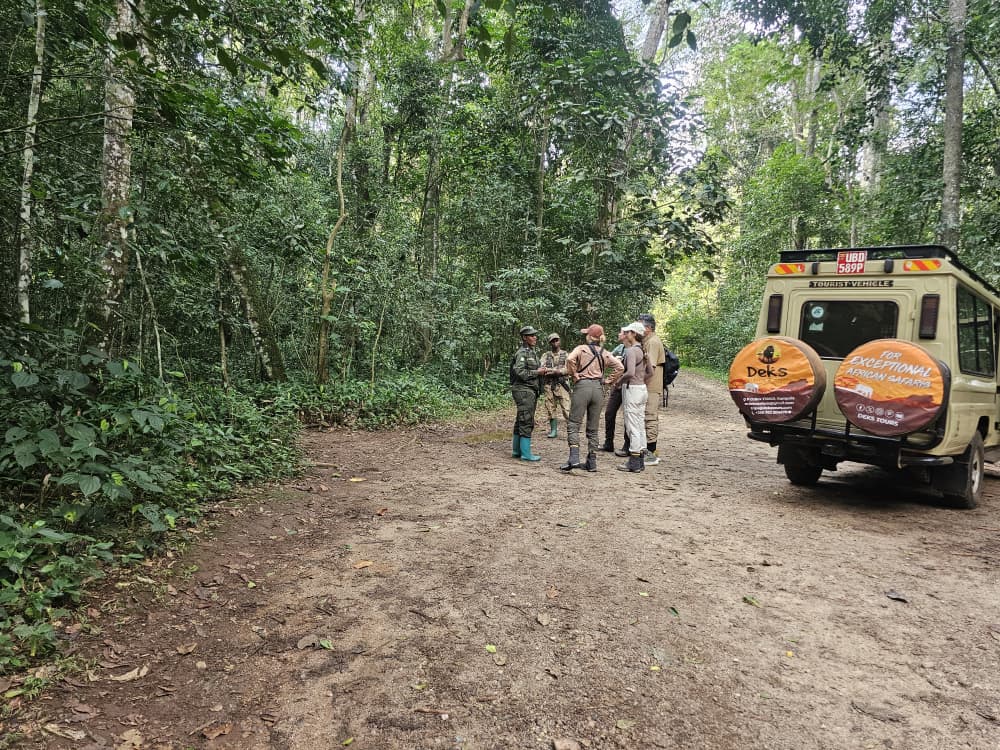 Is Rwanda Worth It for Safari
